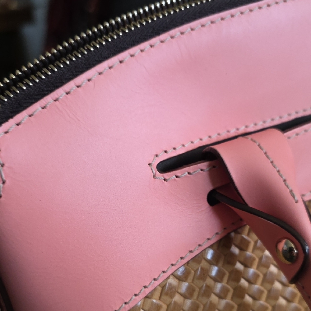 Dooney & Bourke Pink and Tan Woven Satchel Set - Picture 12 of 16